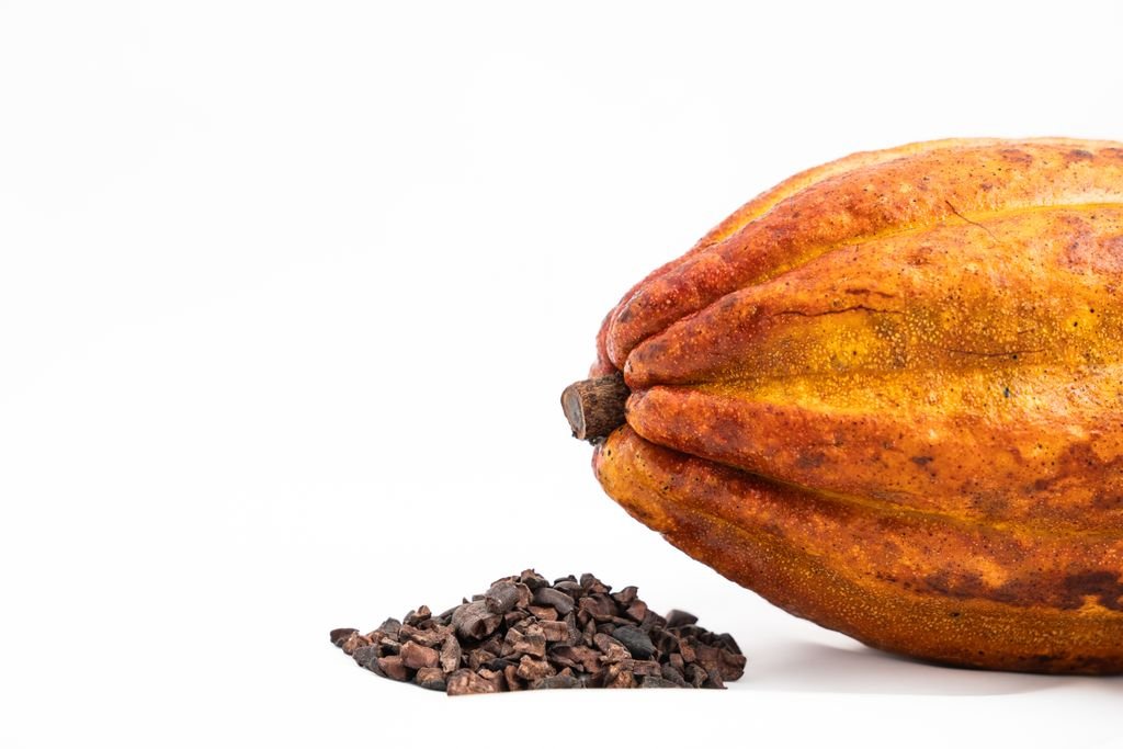Close-up of a ripe cacao pod and cocoa nibs, showcasing chocolate's raw ingredients.