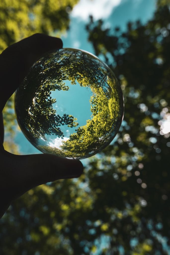 A creative shot depicting trees and sky reflected in a lensball, held by a hand with a blurred forest background.