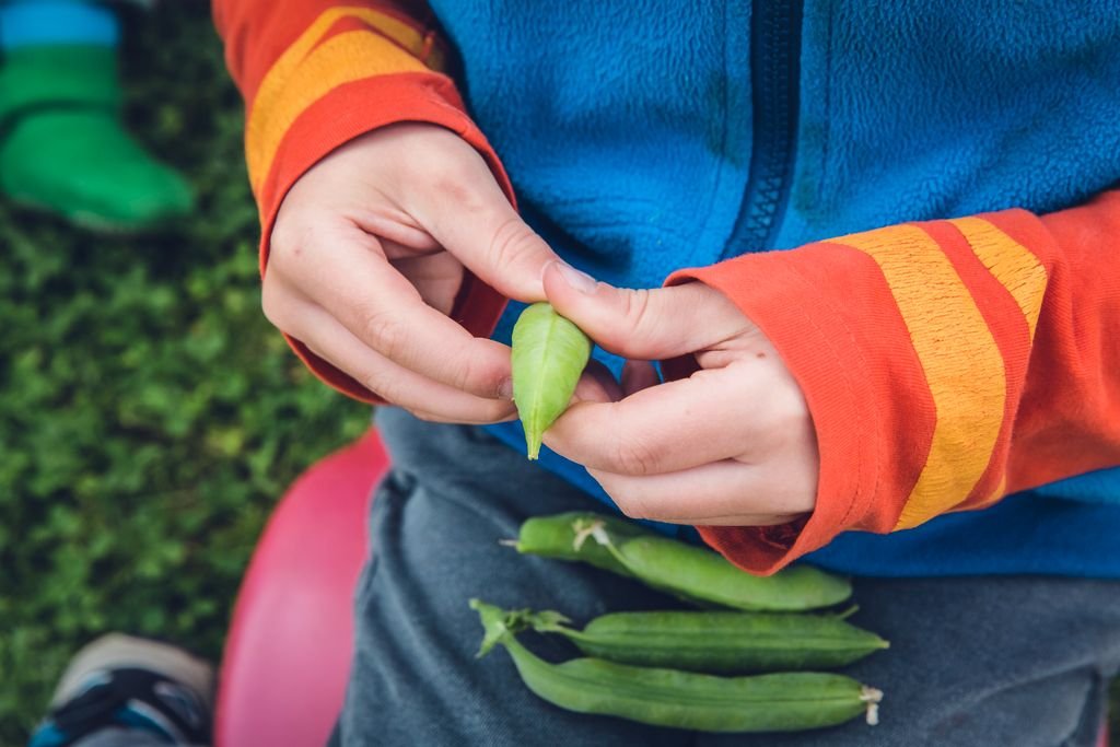 A child in colorful clothing carefully peels fresh green beans food outdoors.