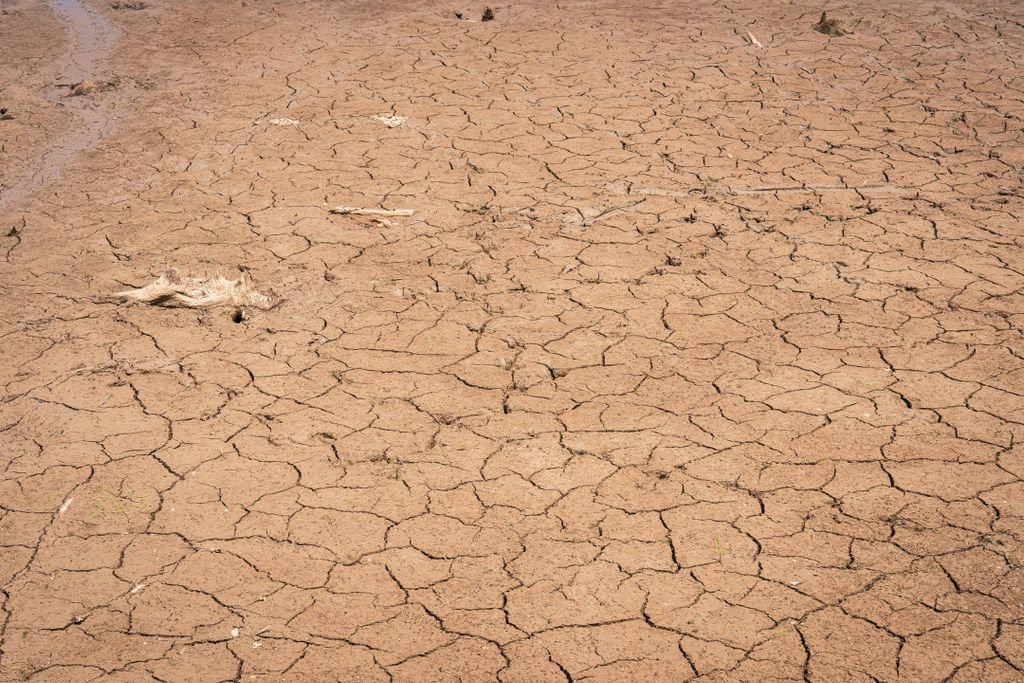 A detailed view of cracked ground depicting severe drought conditions and environmental dryness. food