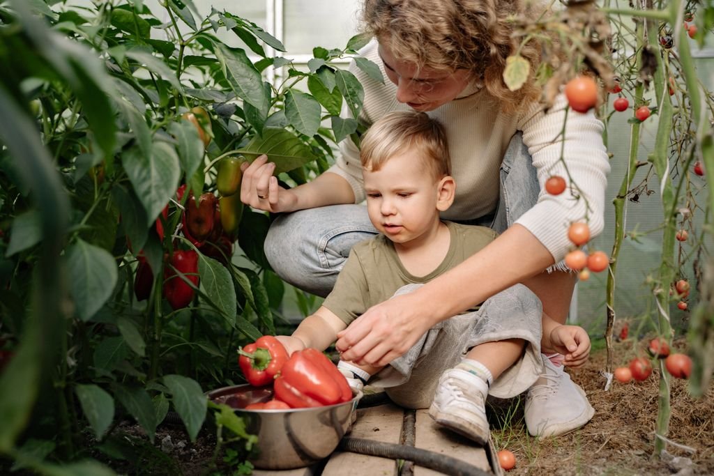 A mother and her young son harvest fresh bell peppers in a greenhouse.