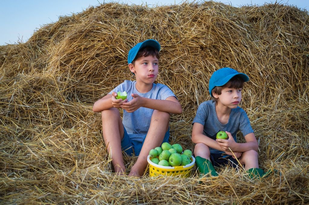 Two boys in blue caps eating green mangoes while sitting on a haystack outdoors.