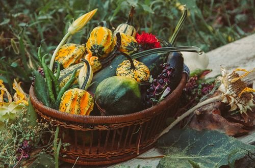 Vibrant autumn gourds and vegetables in a wicker basket outdoors, evoking a rustic harvest mood.