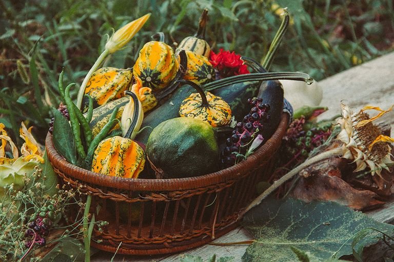 Vibrant autumn gourds and vegetables in a wicker basket outdoors, evoking a rustic harvest mood.