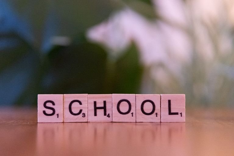 Wooden tiles spelling the word school on a table, evoking educational themes.