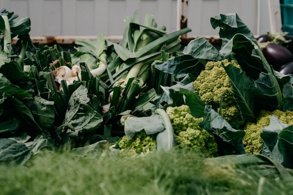 A variety of fresh organic vegetables including cabbages and broccoli at a farmers market.